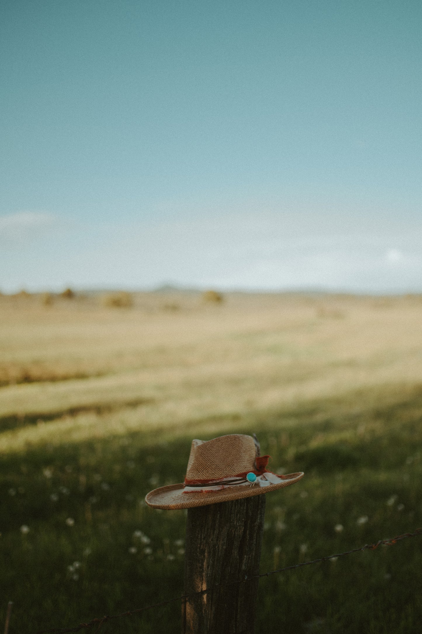 Plain Jane Hat in Camel